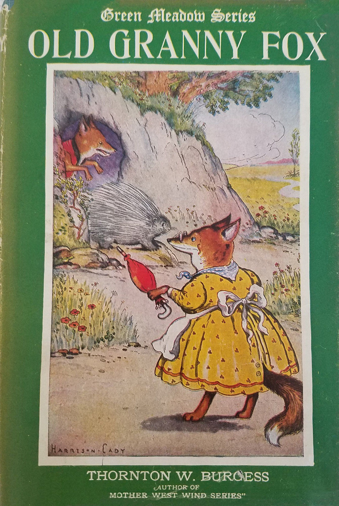 Old Granny Fox