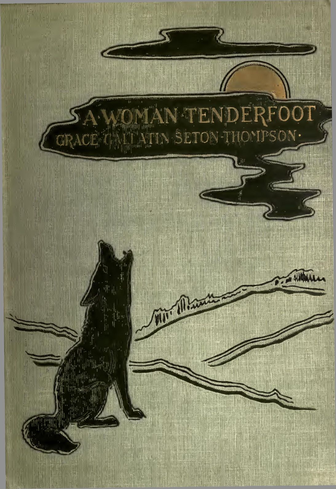 A Woman Tenderfoot