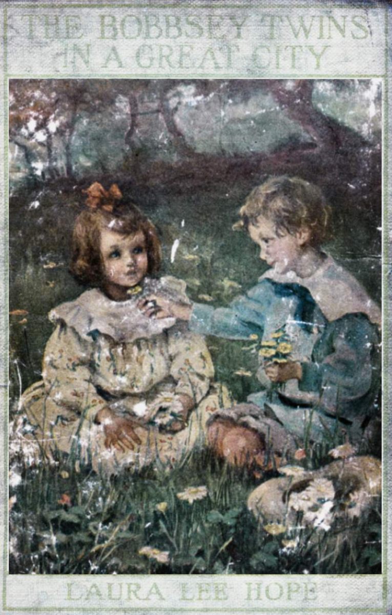 The Bobbsey Twins in a Great City