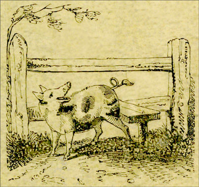 The Remarkable Adventures of an Old Woman and Her Pig
An Ancient Tale in a Modern Dress