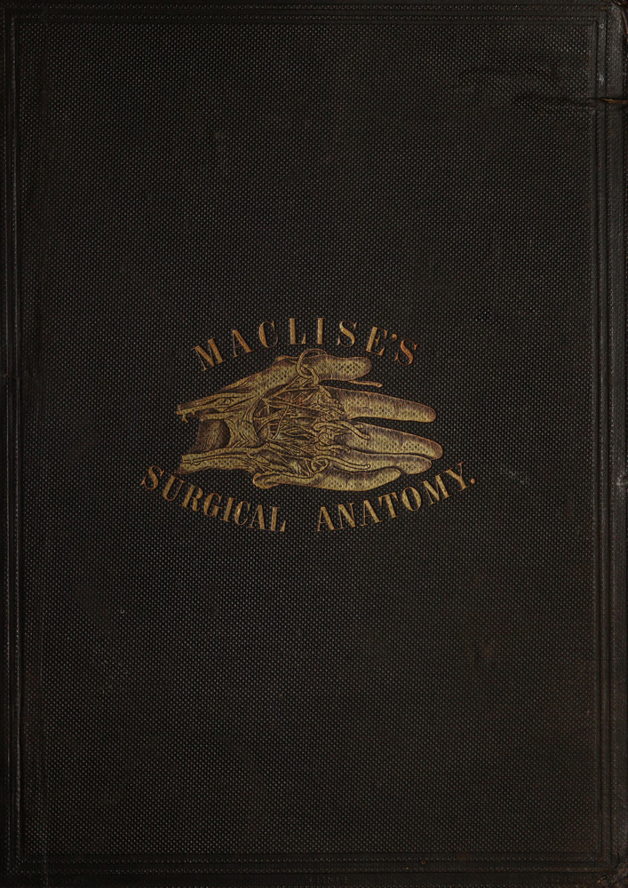 Surgical Anatomy Surgical Anatomy