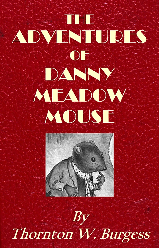 The Adventures of Danny Meadow Mouse The Adventures of Danny Meadow Mouse