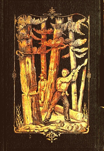 Forest Life and Forest Trees: comprising winter camp-life among the loggers, and wild-wood adventure.
with Descriptions of lumbering operations on the various
rivers of Maine and New Brunswick