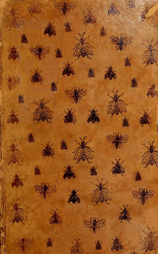 La vie des abeilles La vie des abeilles
