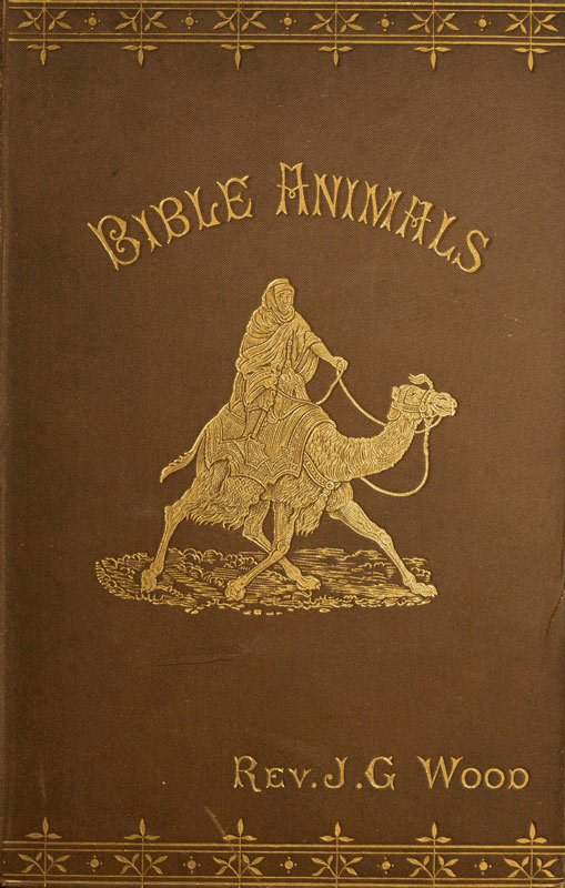 Bible Animals; Being a Description of Every Living Creature Mentioned in the Scripture, from the Ape to the Coral. Bible Animals; Being a Description of Every Living Creature Mentioned in the Scripture, from the Ape to the Coral.