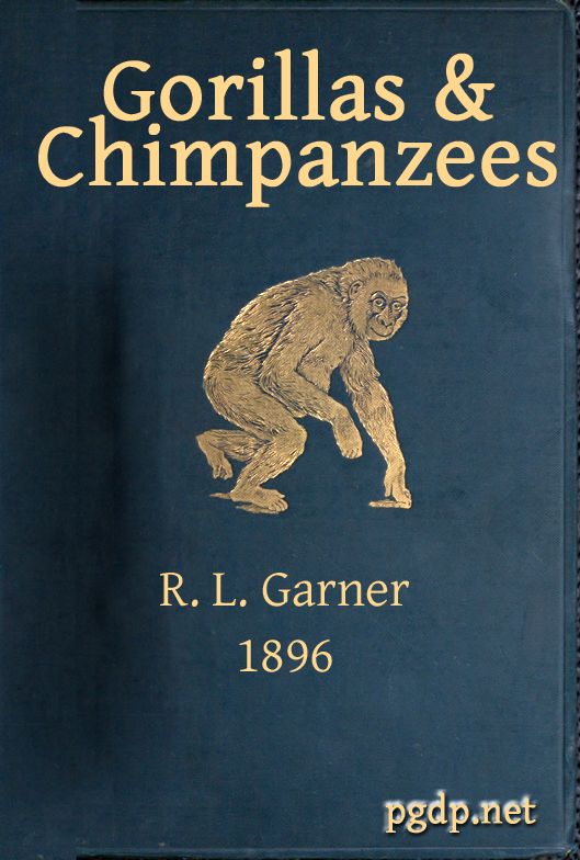 Gorillas & Chimpanzees Gorillas & Chimpanzees