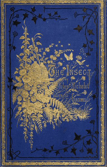 The Insect The Insect