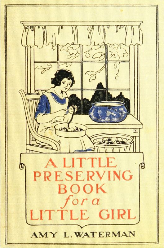 A Little Preserving Book for a Little Girl A Little Preserving Book for a Little Girl