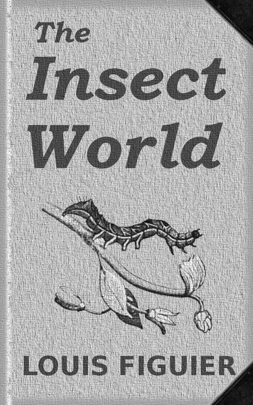 The Insect World Being a Popular Account of the Orders of Insects; Together with a Description of the Habits and Economy of Some of the Most Interesting Species The Insect World Being a Popular Account of the Orders of Insects; Together with a Description of the Habits and Economy of Some of the Most Interesting Species