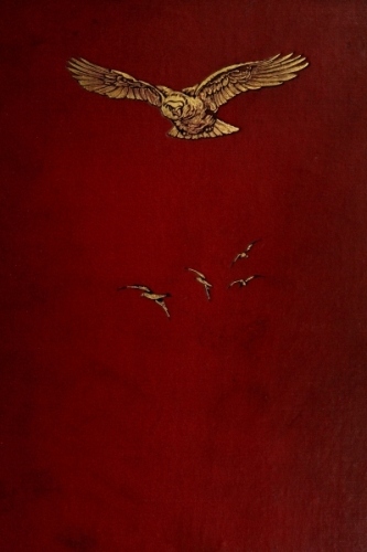 Birds of the wave and woodland Birds of the wave and woodland