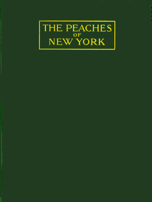 The peaches of New York