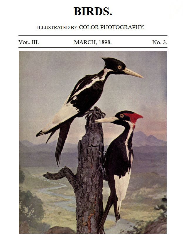 Birds and All Nature, Vol. 3, No. 3, March 1898 Illustrated by Color Photography Birds and All Nature, Vol. 3, No. 3, March 1898 Illustrated by Color Photography
