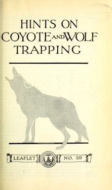 Hints on Wolf and Coyote Trapping