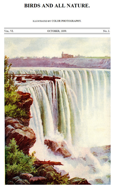 Birds and All Nature, Vol. 6, No. 3, October 1899 Illustrated by Color Photography Birds and All Nature, Vol. 6, No. 3, October 1899 Illustrated by Color Photography