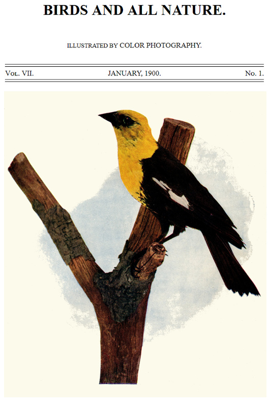 Birds and All Nature, Vol. 7, No. 1, January 1900
Illustrated by Color Photography