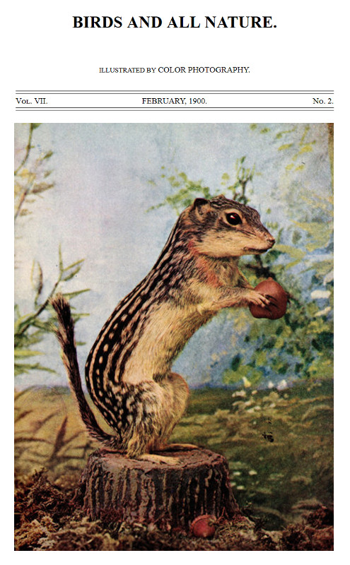 Birds and All Nature, Vol 7, No. 2, February 1900
Illustrated by Color Photography