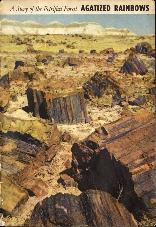 Agatized Rainbows: A Story of the Petrified Forest Agatized Rainbows: A Story of the Petrified Forest