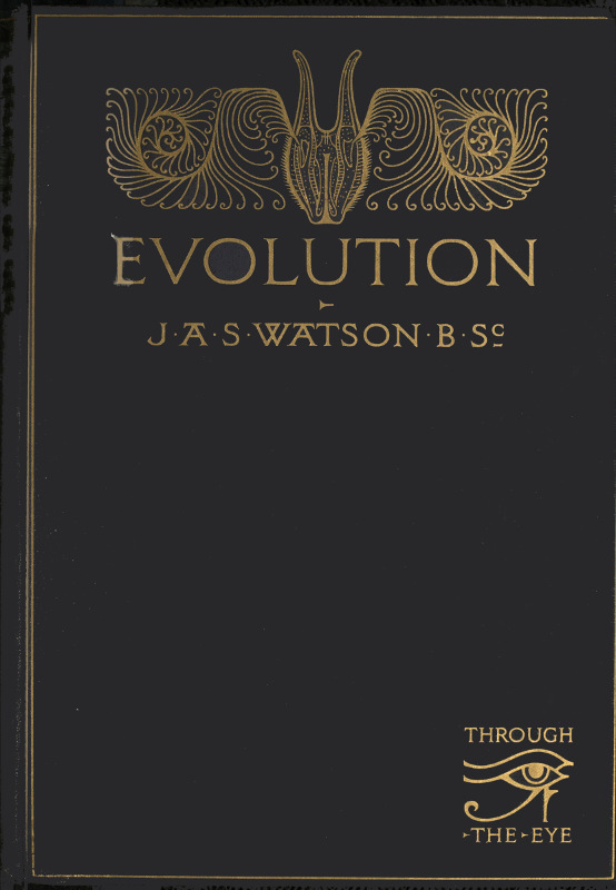 Evolution Evolution
