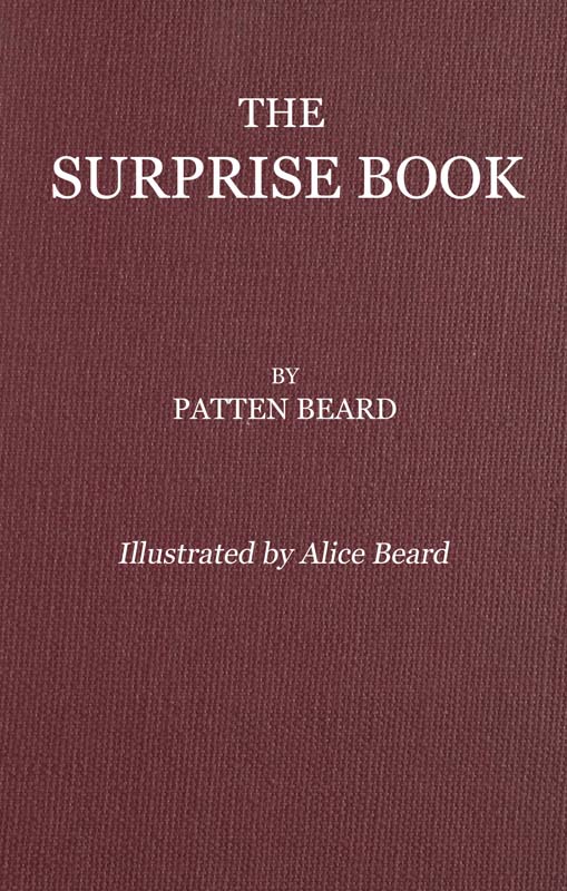 The Surprise Book