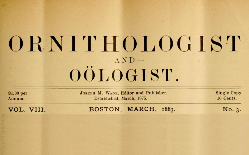 The Ornithologist and Oölogist. Vol. VIII No. 3, March 1883
Birds: Their Nests and Eggs