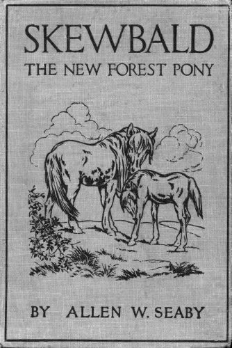Skewbald, the New Forest Pony Skewbald, the New Forest Pony