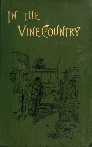 In the vine country In the vine country