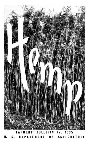 Hemp Hemp