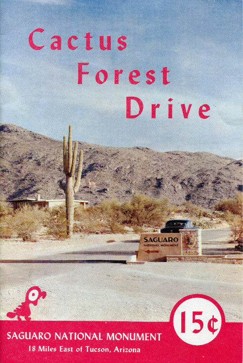 Cactus Forest Drive, Saguaro National Monument Cactus Forest Drive, Saguaro National Monument