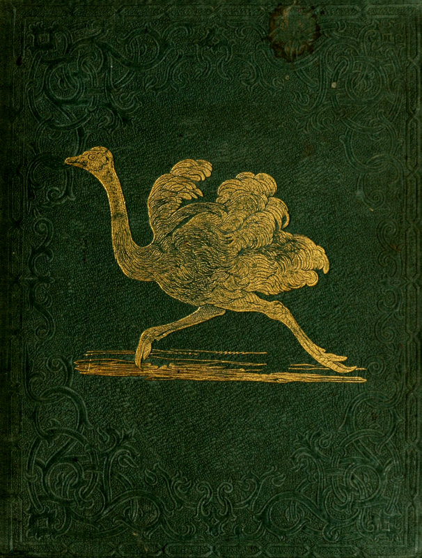 Tales About Birds, Illustrative of Their Nature, Habits, and Instincts Tales About Birds, Illustrative of Their Nature, Habits, and Instincts