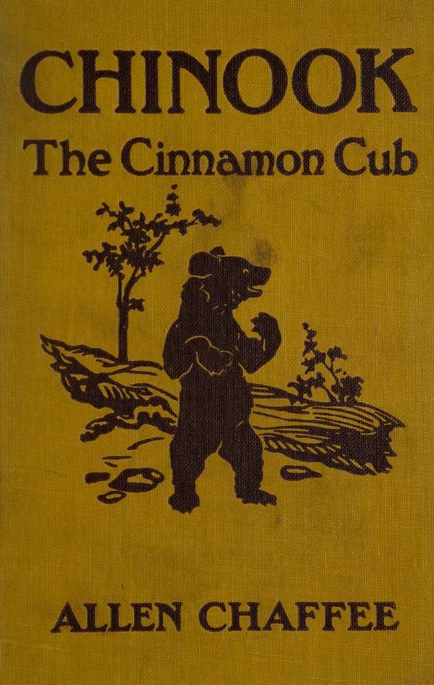 Chinook, the Cinnamon Cub Chinook, the Cinnamon Cub