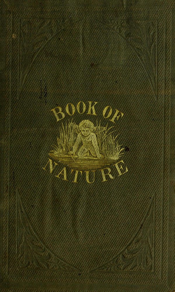 The Book of Nature
Containing information for young people who think of getting married, on the philosophy of procreation and sexual intercourse, showing how to prevent conception and to avoid child-bearing: also, rules for management during labor and child-birth