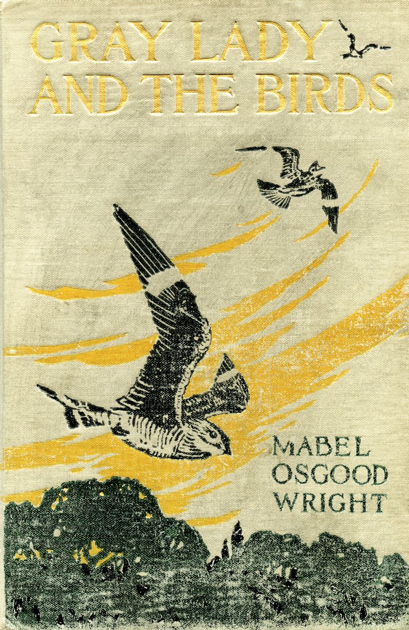 Gray Lady and the Birds: Stories of the Bird Year for Home and School Gray Lady and the Birds: Stories of the Bird Year for Home and School