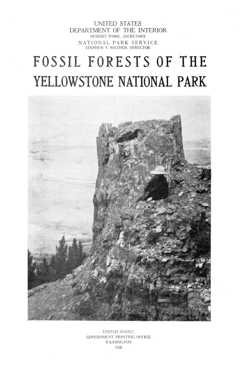 Fossil Forests of the Yellowstone National Park Fossil Forests of the Yellowstone National Park