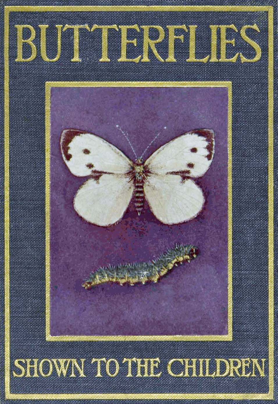 Butterflies and Moths, Shown to the Children Butterflies and Moths, Shown to the Children