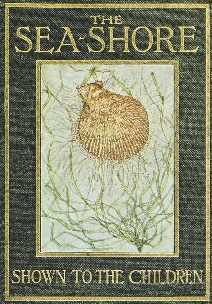 The Sea-Shore, Shown to the Children The Sea-Shore, Shown to the Children