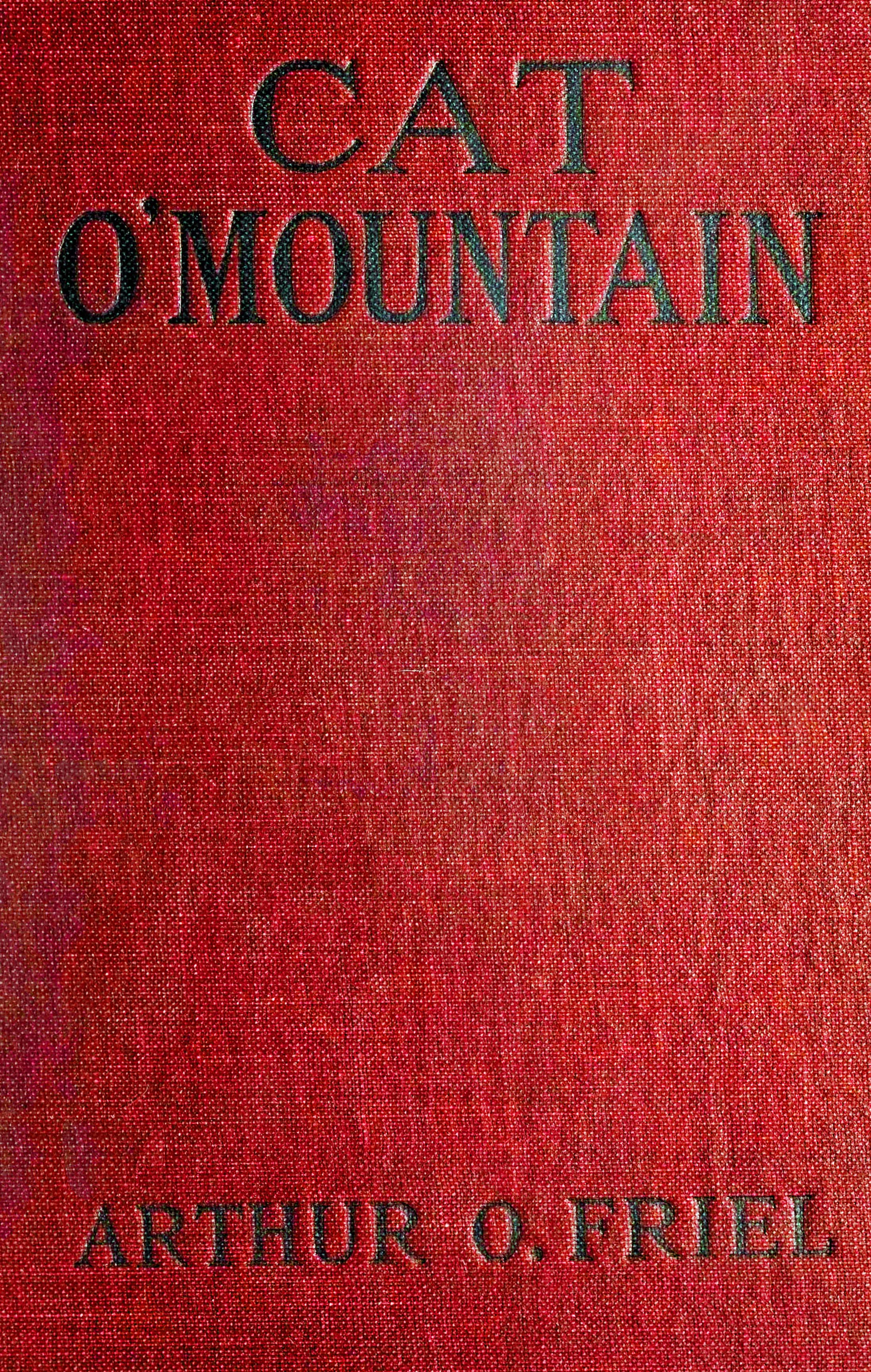 Cat o' mountain Cat o' mountain