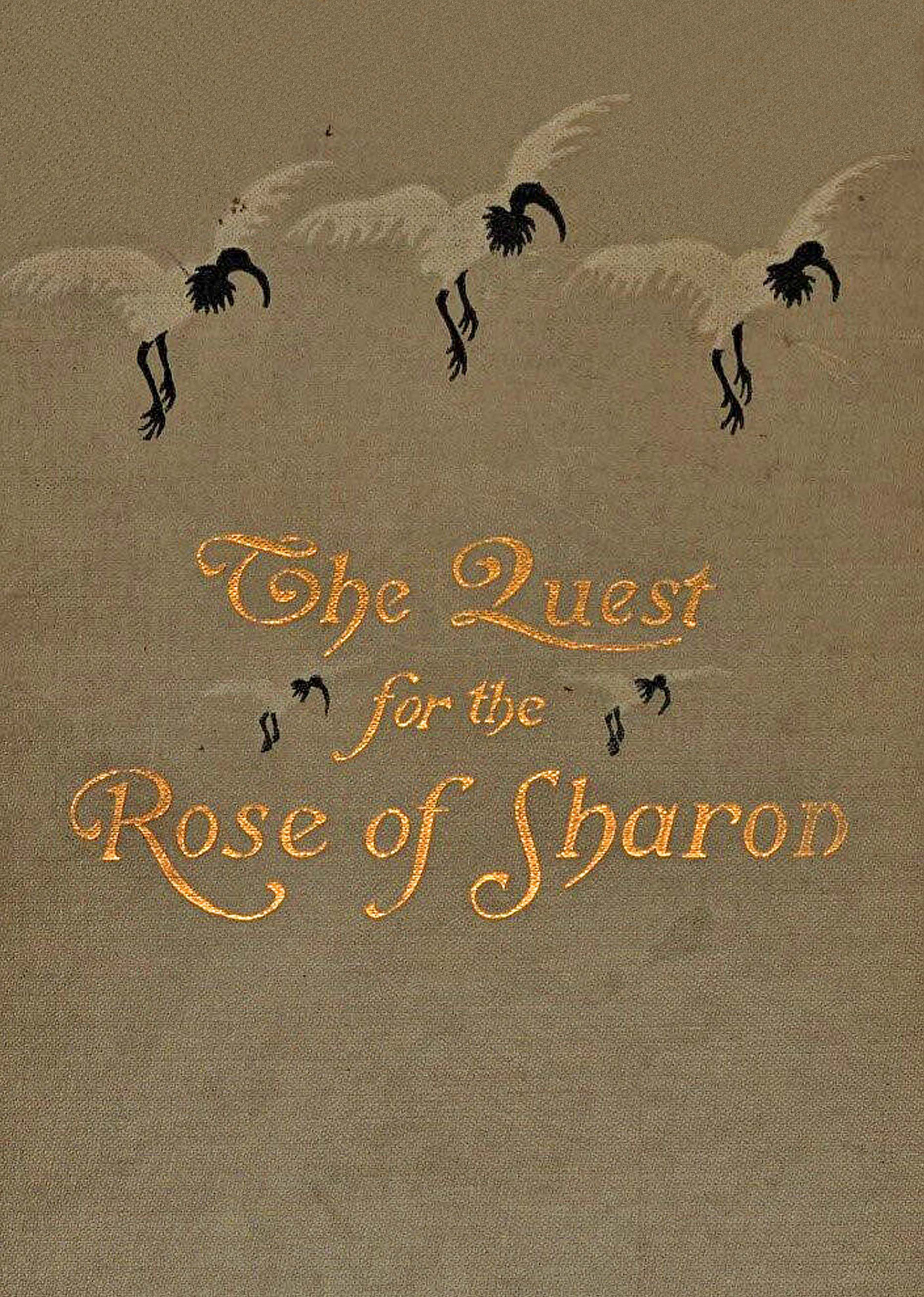 The quest for the rose of Sharon The quest for the rose of Sharon